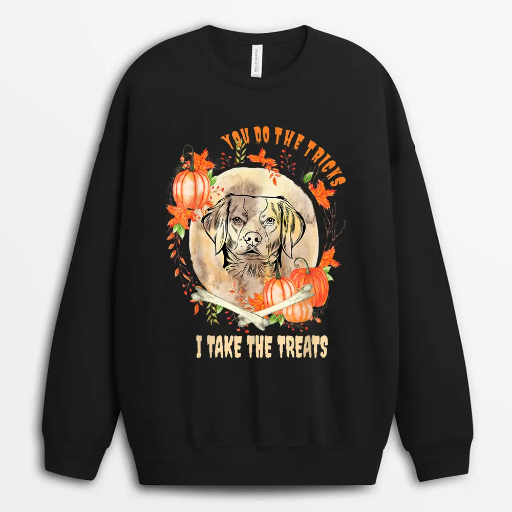 Brittany Spaniel Dog Owner Halloween Pumpkin Humor Funny Sweatshirt - Black